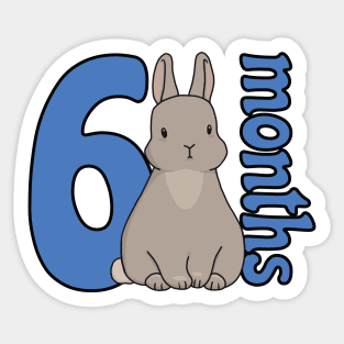 Baby monthly milestone (6 months, bunny) Sticker